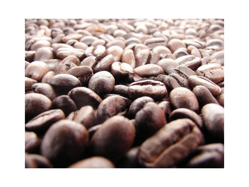 café de especialidad